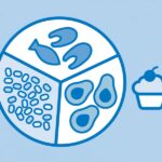 How to Track Macros for Weight Loss
