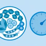 How to Calculate a Calorie Deficit